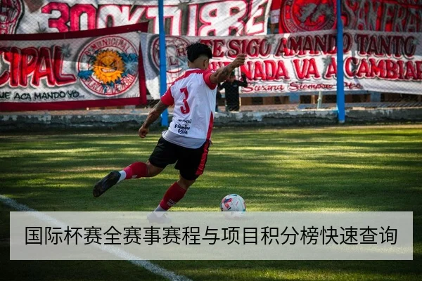 国际杯赛全赛事赛程与项目积分榜快速查询