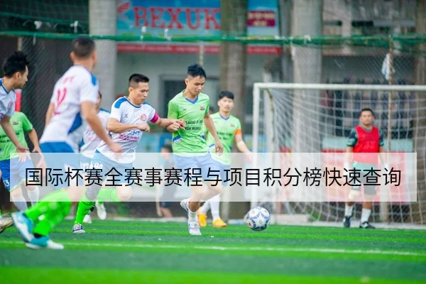 国际杯赛全赛事赛程与项目积分榜快速查询