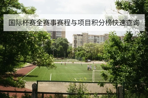 国际杯赛全赛事赛程与项目积分榜快速查询