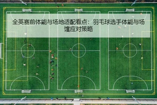 quan-ying-sai-qian-ti-neng-yu-chang-di-shi-pei-kan-dian-yu-mao-qiu-xuan-shou-ti-neng-yu-chang-guan-ying-dui-ce-lve-2-797.jpg